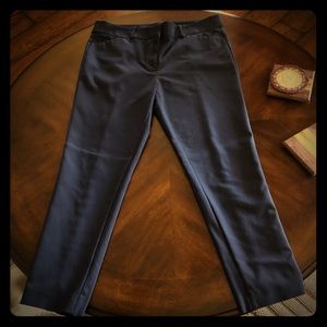 Navy Loft Skinny Ankle Work Pants